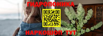марихуана Кингисепп