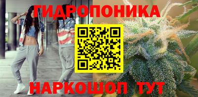 марихуана Кингисепп