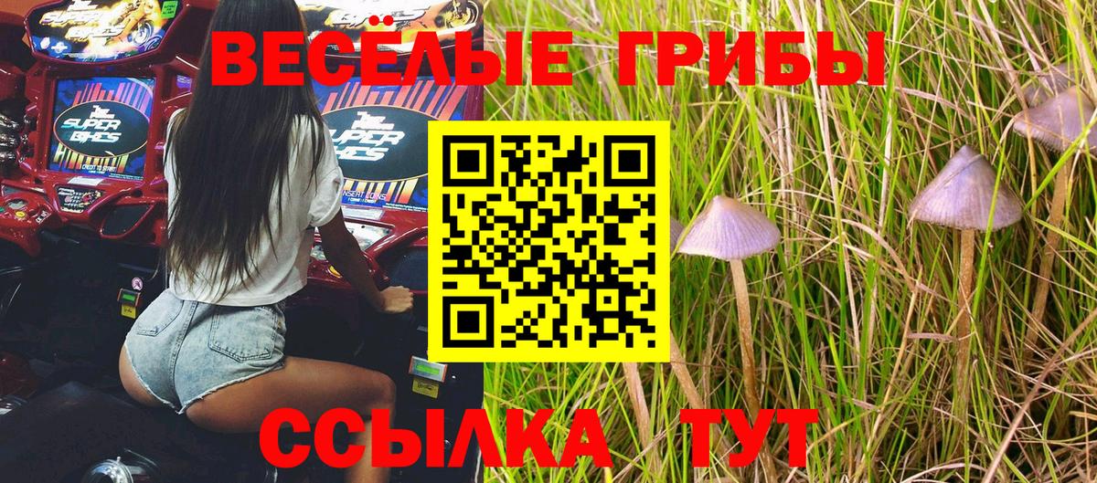 Псилоцибиновые грибы прущие грибы Кимры