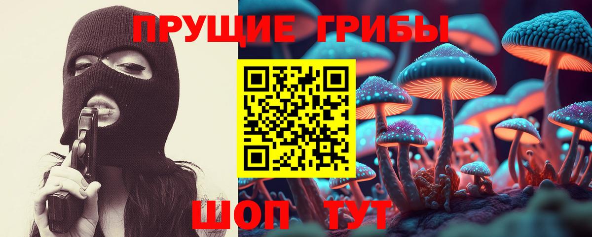 Кимры  Галлюциногенные грибы мухоморы  Вход с VPN  Галлюциногенные грибы Cubensis 